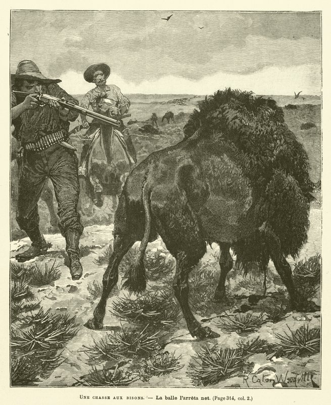 Bufalo Avı by after Richard Caton II Woodville