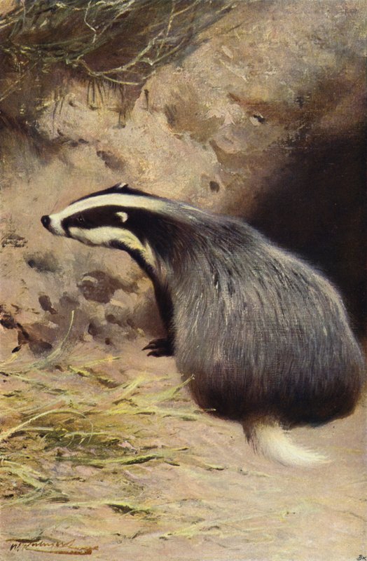 Porsuk by after Wilhelm Kuhnert