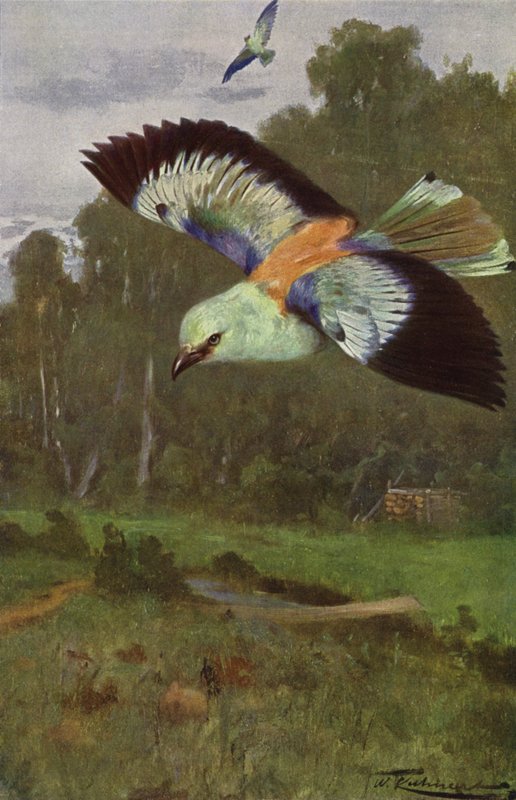 mavi silindir by after Wilhelm Kuhnert