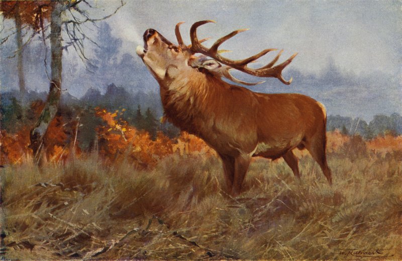 Alageyik by after Wilhelm Kuhnert