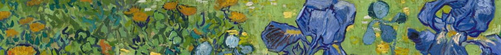 süsen (Vincent van Gogh)