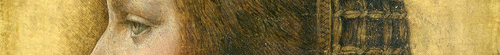 Güzel prenses (Leonardo da Vinci)