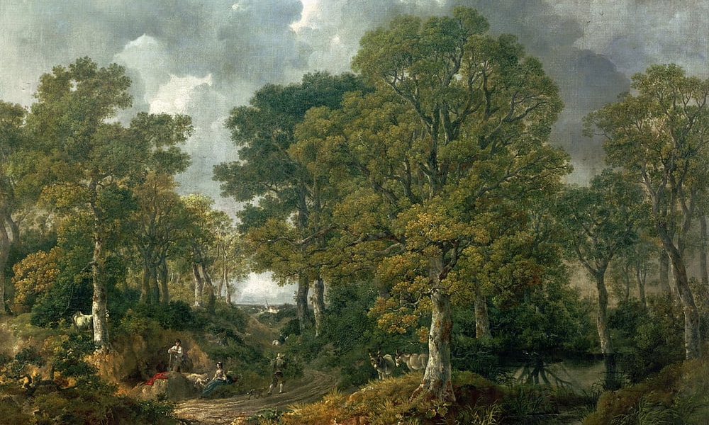 Orman