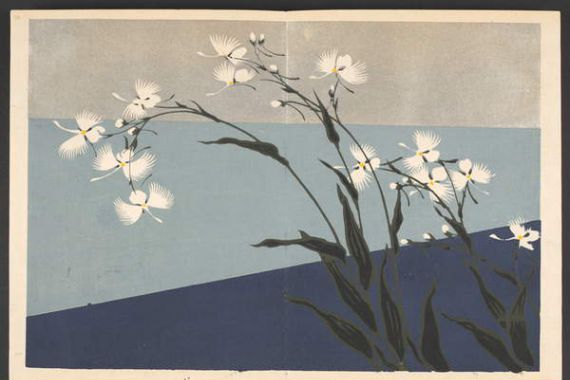 Furuya Korin