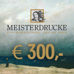 300 € kupon, -